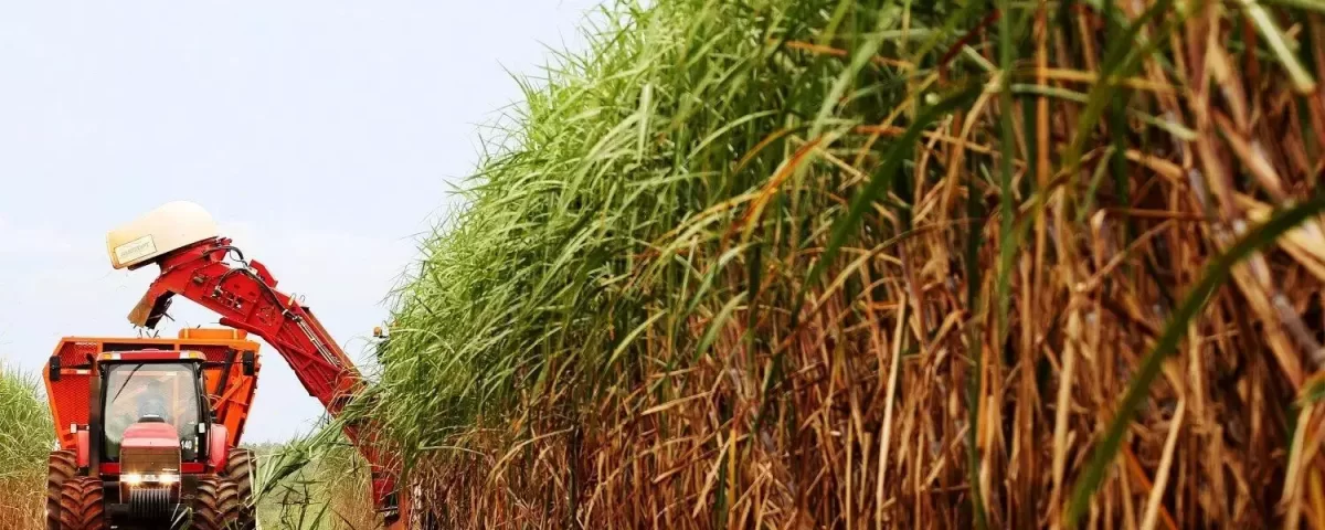 Unica divulga produção recorde de Etanol