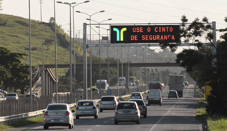 Férias na estrada: veja as dicas para transportar crianças e pets