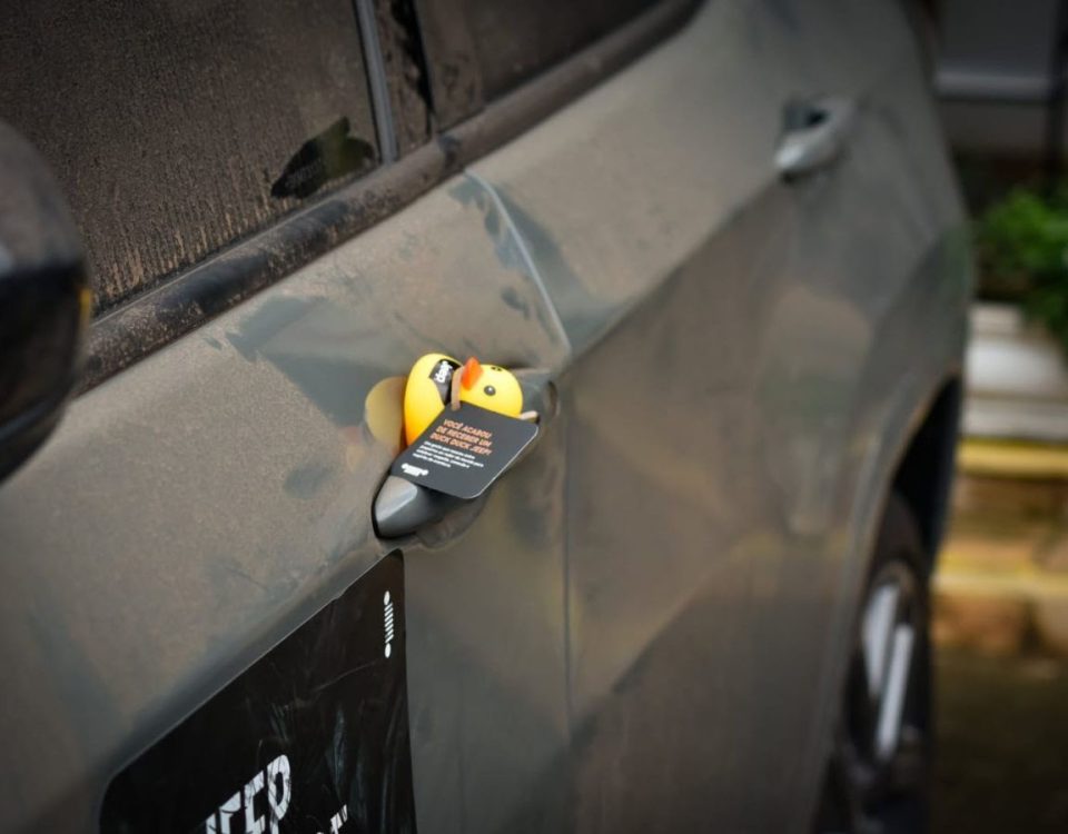 Patinhos passam good vibes aos donos de Jeep